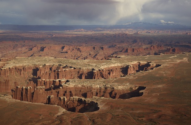 Ohne Farbkorrektur mit Capture One Pro 7 (Bild: Phase One)